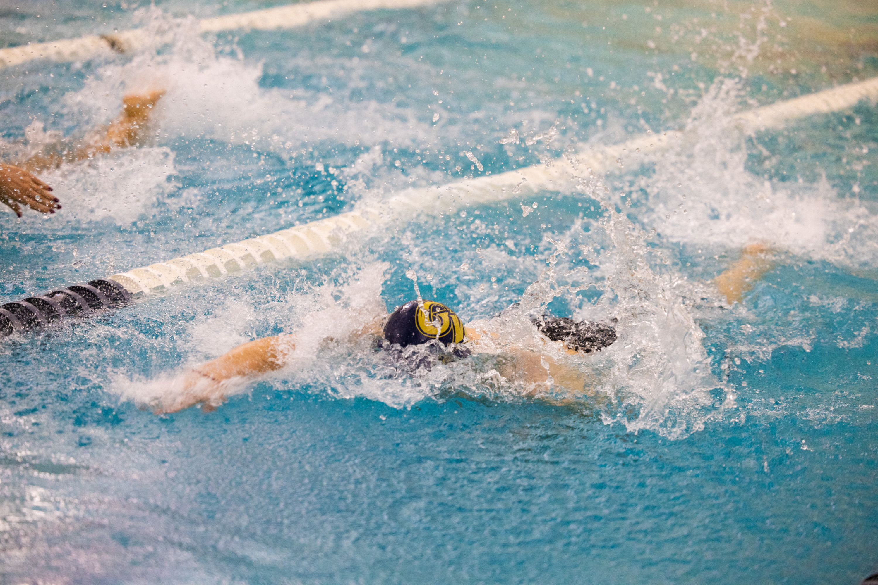 Men's Club Swim athlete competing in freestyle